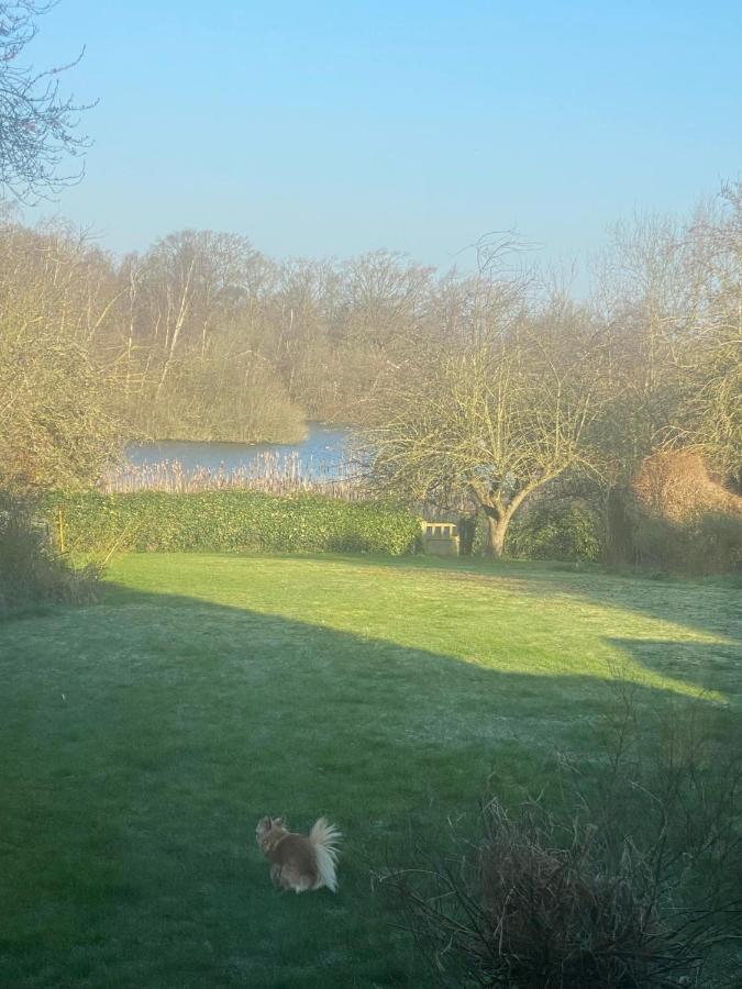 Twenty Bed & Breakfast Skellingthorpe Eksteriør bilde
